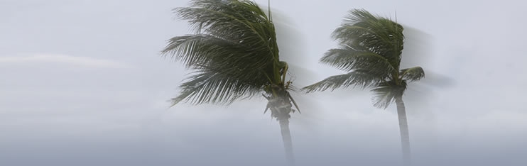 Natural Disaster