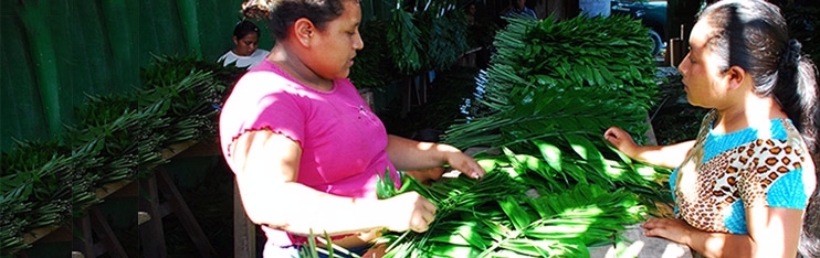 Microfinance