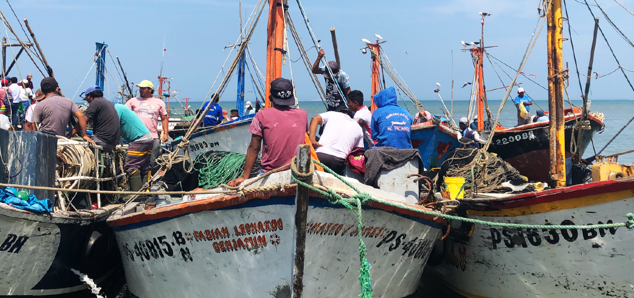peru pesca