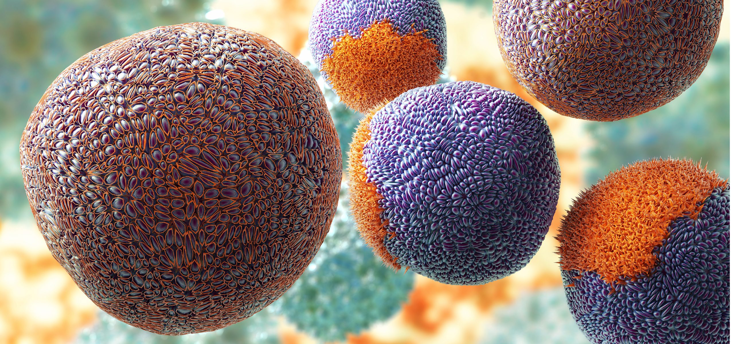 rotavirus