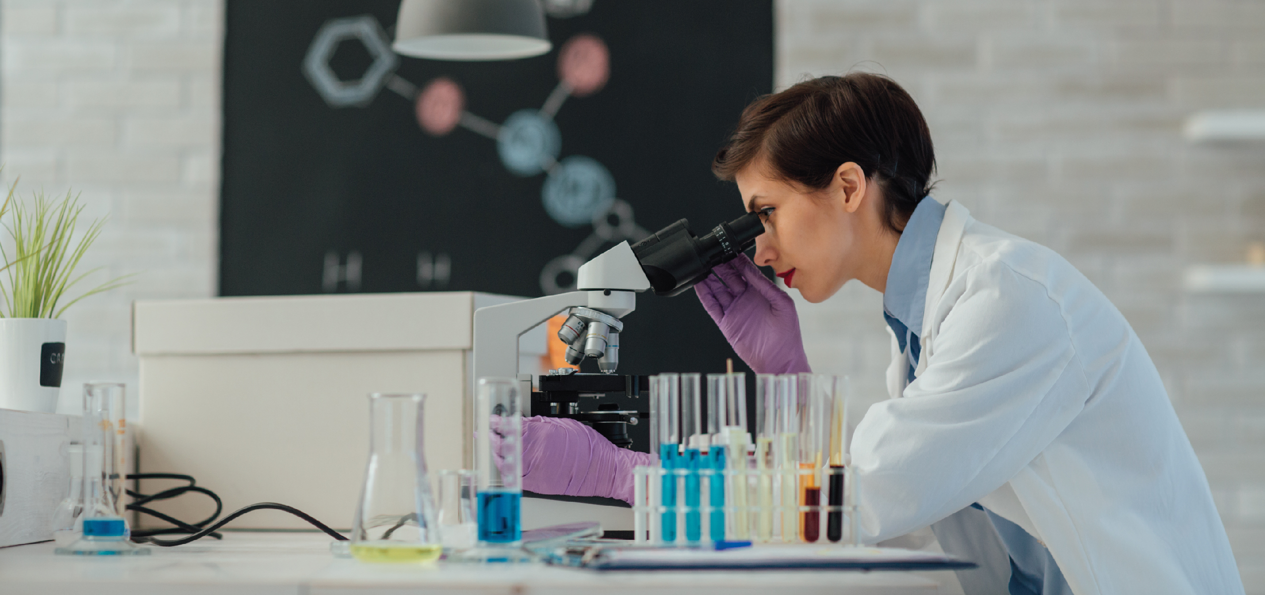 biotecnologia
