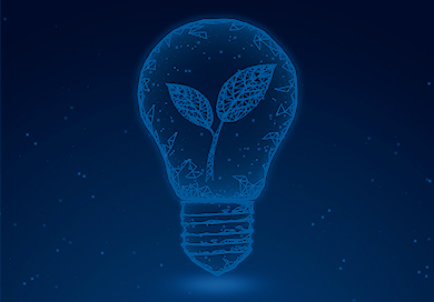 Regional Policy Dialogue on Environmental Licensing and Enforcement During COVID-19 