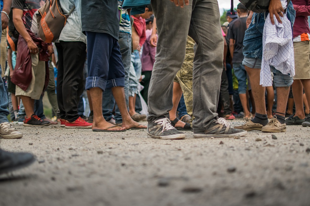 The Migration Network
