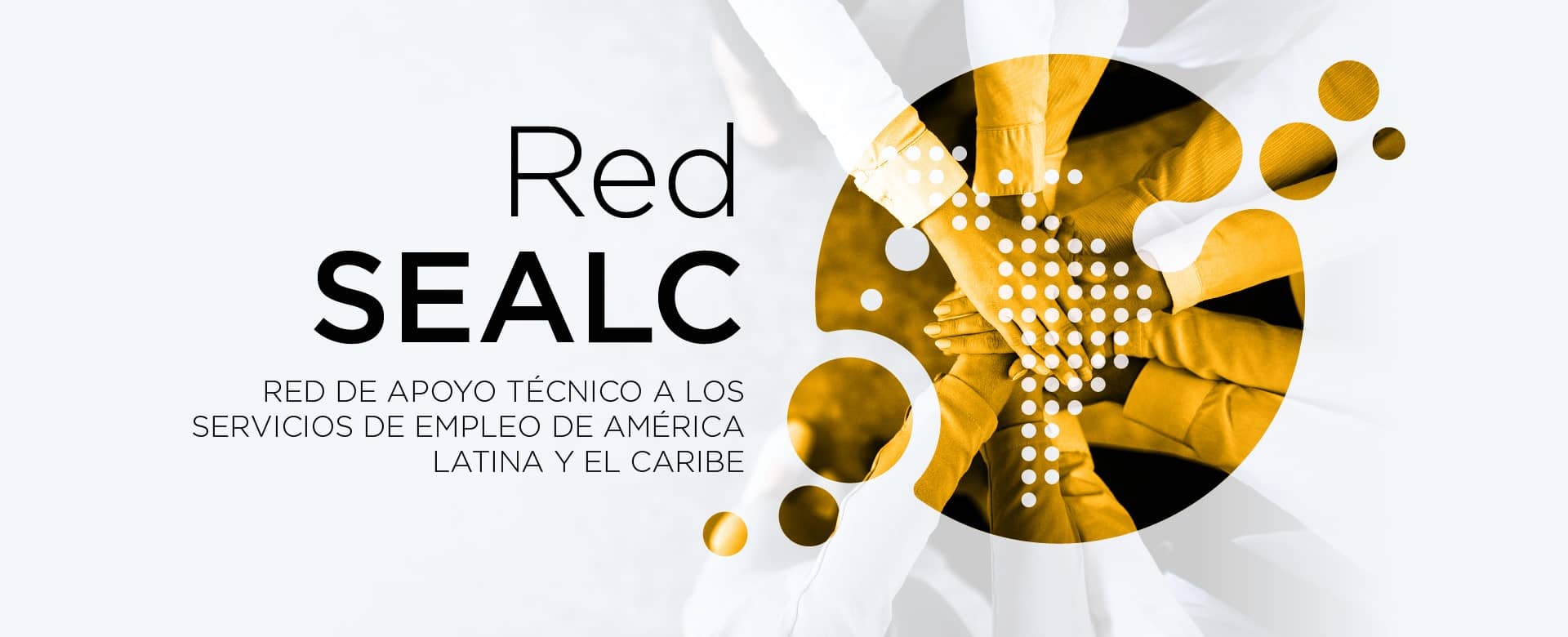 red-seacl-banner-esp_0_4.jpg