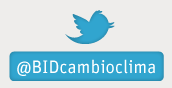 Twitter bid
