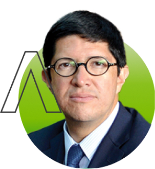 Diego Aulestia