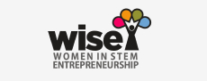 Logo WISEI