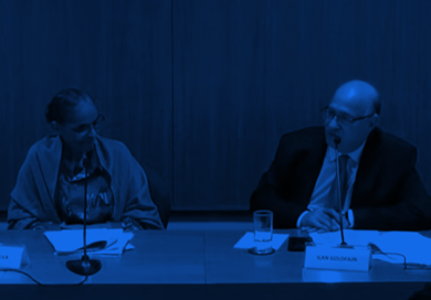 Iniciativas para una Amazonía Sostenible