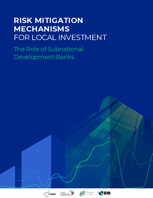Risk Mitigation Mechanisms for Local Investment: The Role of Subnational Development Banks