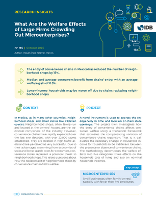 Research Insights: What Are the Welfare Effects of Large Firms Crowding Out Microenterprises?