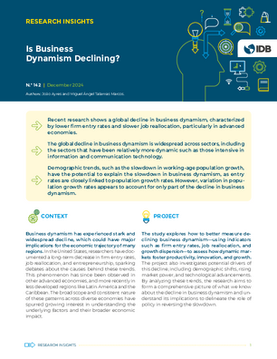 Research Insights: Is Business Dynamism Declining?