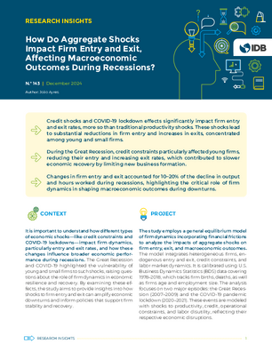 Research Insights: How Do Aggregate Shocks Impact Firm Entry and Exit, Affecting Macroeconomic Outcomes During Recessions?