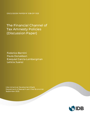 The Financial Channel of Tax Amnesty Policies (Discussion Paper)