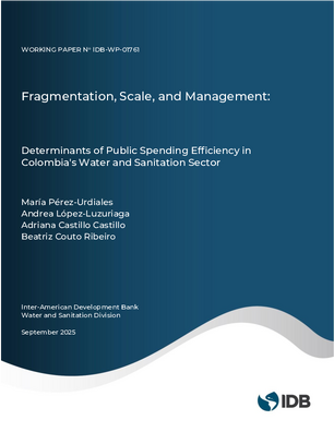 Fragmentation, Scale, and Management: Determinants of Public Spending Efficiency in Colombia's Water and Sanitation Sector