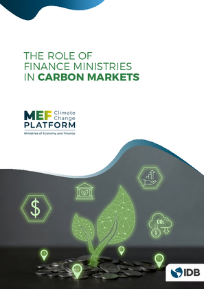 The Role of Finance Ministries in Carbon Markets