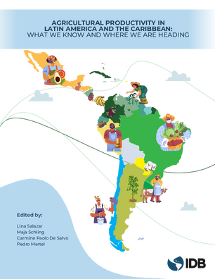 Agricultural Productivity in Latin America and the Caribbean: What We Know and Where We Are Heading