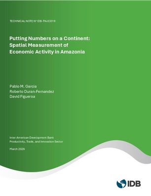 Putting Numbers on a Continent: Spatial Measurement of Economic Activity in Amazonia