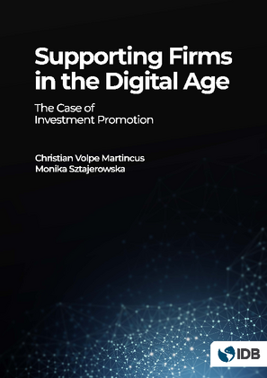 Supporting Firms in the Digital Age: The Case of Investment Promotion