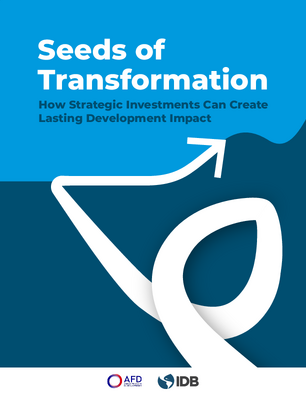 Seeds of Transformation: How Strategic Investments Can Create Lasting Development Impact