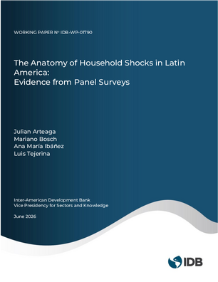 The Anatomy of Household Shocks in Latin America: Evidence from Panel Surveys