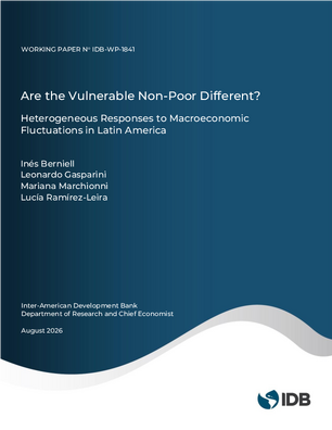 Are the Vulnerable Non-Poor Different? Heterogeneous Responses to Macroeconomic Fluctuations in Latin America