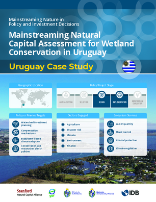 Mainstreaming Natural Capital Assessment for Wetland Conservation in Uruguay, Case Study