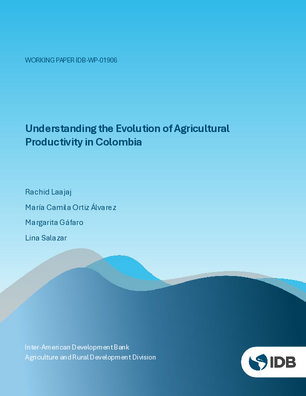 Understanding the Evolution of Agricultural Productivity in Colombia
