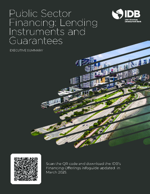 Public Sector Financing: Lending instruments. Summary