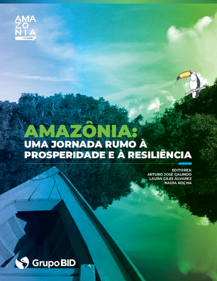 Amazônia: uma jornada rumo à prosperidade e à resiliência 