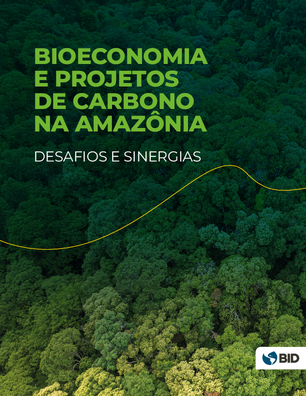 Bioeconomia e projetos de carbono na Amazônia : desafios e sinergias