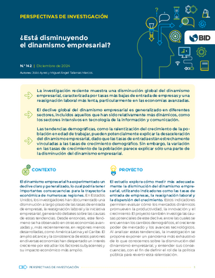Perspectivas de investigación: ¿está disminuyendo el dinamismo empresarial?