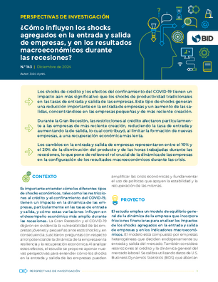 Perspectivas de investigación: ¿cómo influyen los shocks agregados en la entrada y salida de empresas, y en los resultados macroeconómicos durante las recesiones?