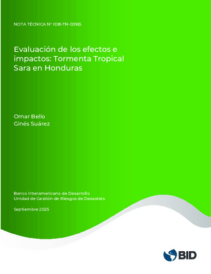 Evaluación de los efectos e impactos: tormenta tropical Sara en Honduras