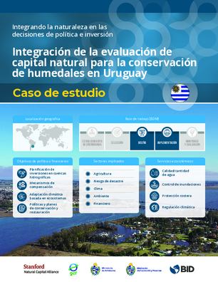 Integración de la evaluación del capital natural para la conservación de humedales en Uruguay: estudio de caso